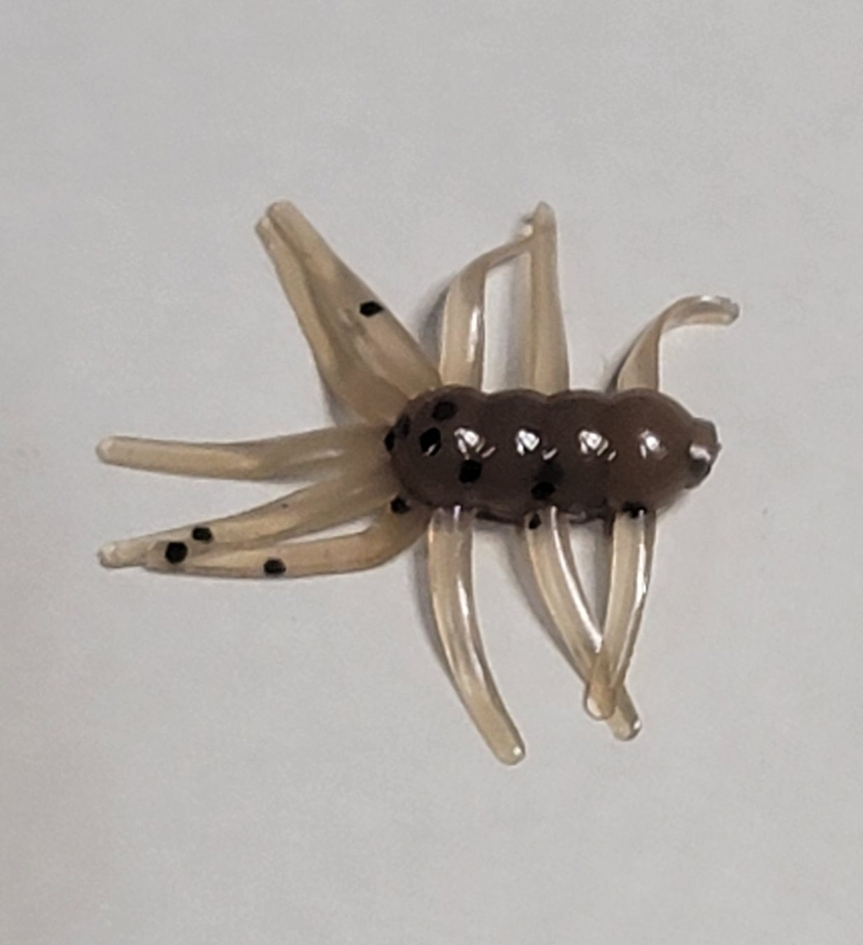 * Spider Monkey .75"