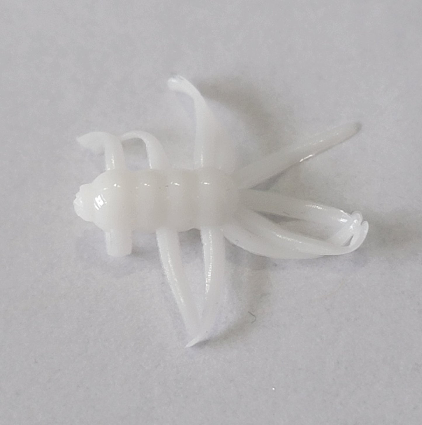 * Spider Monkey .75"