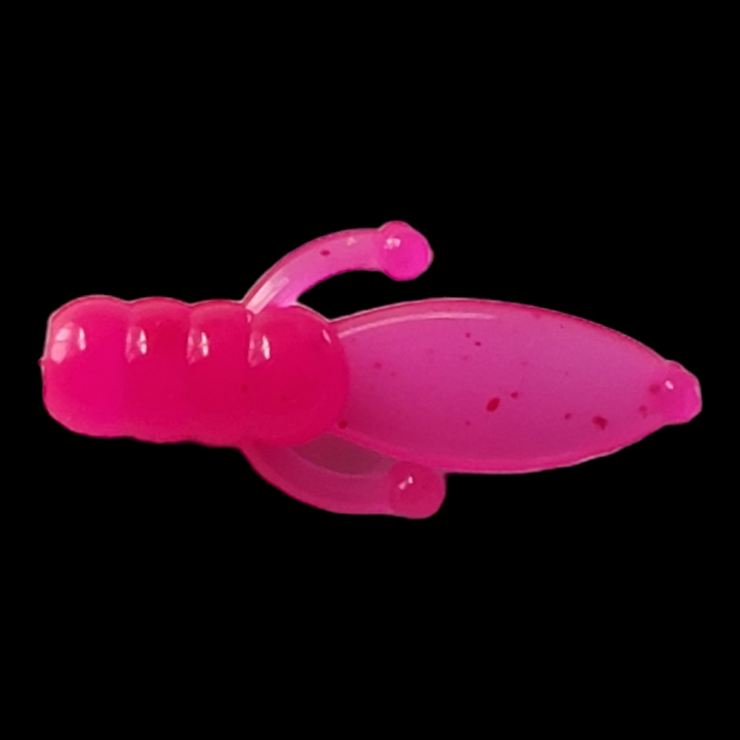 *Beaver Bug .75"  10 pack (Over 40 Solid Colors Available)