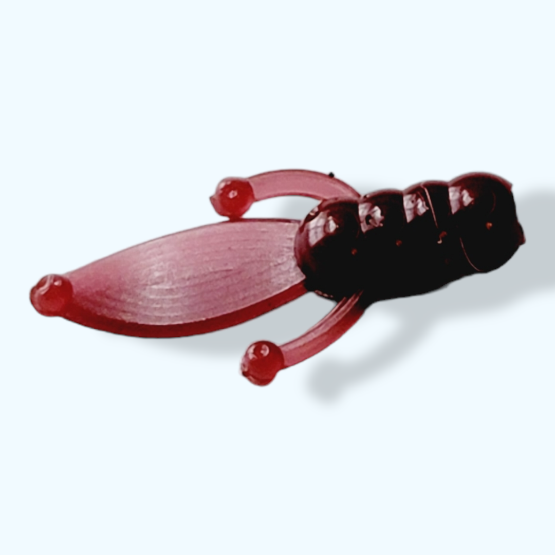 *Beaver Bug .75"  10 pack (Over 40 Solid Colors Available)